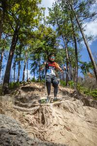 BIB: 
                            <button type="button" onclick="openModal(15932281)" class="btn btn-primary btn-sm float-right btn-popup" data-toggle="modal" data-target=".modal-high-quality">
                        <i class="fas fa-shopping-cart"></i> Add to Cart
                    </button>
                                            <button type="button" onclick="isThisMe(15932281, true)" class="btn btn-success btn-sm float-right btn-popup btn-isme hidden" data-toggle="tooltip" data-placement="bottom" title="นี่คือรูปของคุณใช่ไหม คลิกที่นี่เพื่อเอาเข้าอัลบั้ม">
                        <i class="fas fa-plus"></i> Add to album
                    </button>
                    <button type="button" onclick="isThisMe(15932281, false)" class="btn btn-warning btn-sm float-right btn-popup btn-isnotme hidden">
                        <i class="fas fa-ban"></i> Remove from album
                    </button>